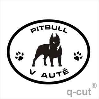Pitbull v autě (samolepka pitbulteriér)