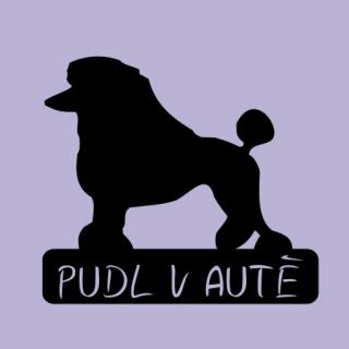 Pudl v autě - možno jméno ZDARMA (samolepka pudl)