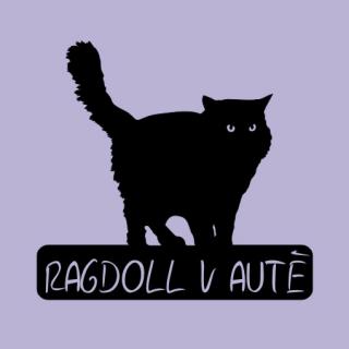 Ragdoll v autě - možno jméno ZDARMA (samolepka ragdoll)