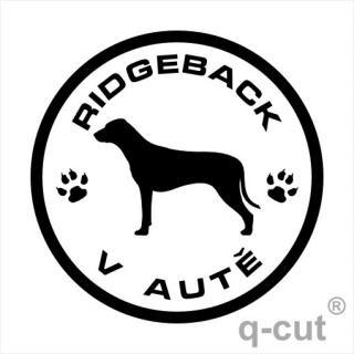 Ridgeback v autě (samolepka rhodéský ridgeback)