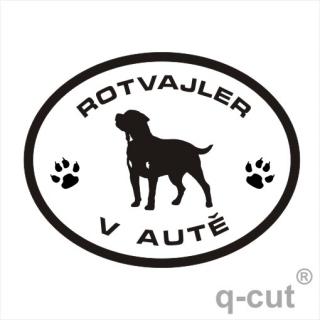 Rotvajler v autě (samolepka RTW rottweiler)