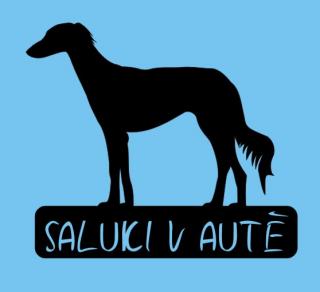 Saluki v autě - možno jméno ZDARMA (samolepka perský chrt)