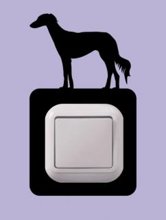 Saluki