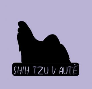 Shih Tzu v autě - možno jméno ZDARMA (samolepka šicu)
