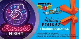 Jedna hodina karaoke kdykoliv (Po-Ne 11.00 - 24.00)