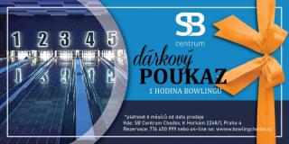 Jedna hodina kulečníku kdykoliv (Po-Ne 11.00 - 23.00)
