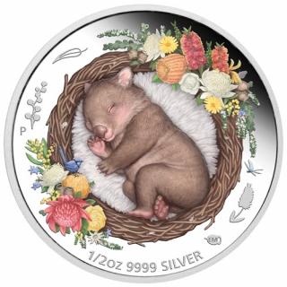 Stříbrná mince 1/2 oz Koala Dreaming Down Under 2021 Proof