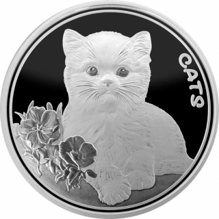 Stříbrná mince Kočka 1 oz 2022 Kolorovaná BU
