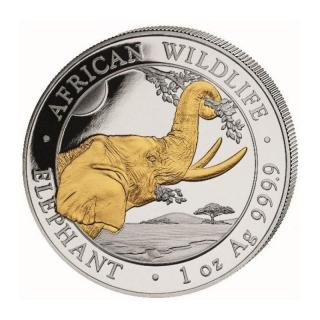 Stříbrná mince Slon African Wildlife 1 oz 2023 zlacený