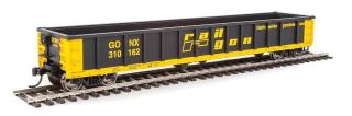 Walthers  53' Railgon Gondola - Railgon GONX #310160