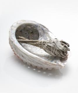 Abalone mušle - přírodní kadidelnice - velká