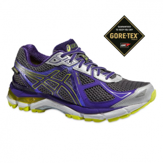 Asics GT-2000 3 GTX dámská běžecká obuv