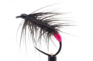 Pink peacock black palmer