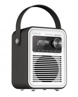 Rádio Carneo D600 DAB/FM - čierne / biele