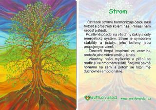 Strom - harmonizační obrázek