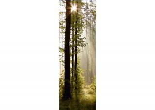 AG design 1 dílná vliesová fototapeta Morning Forest, 90 x 270 cm (srpen21)