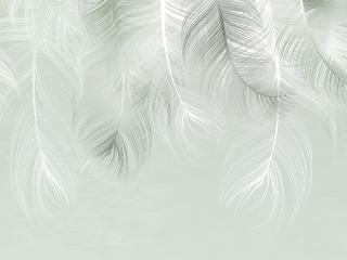 AG design 4 dílná vliesová fototapeta Feather Dream, 360 x 270 cm (srpen21)
