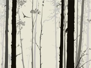 AG design 4 dílná vliesová fototapeta Mystic Forest, 360 x 270 cm (srpen21)