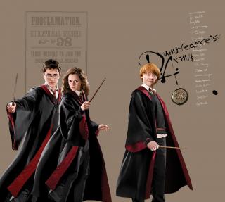 Textilní závěs Harry Potter FCSXL6607, 180 x 160 (2 ks), lehké zastínění NEW2022