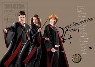 Vliesová fototapeta Harry Potter FTDNM5295, 155 x 110 cm NEW2022