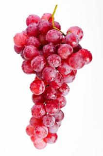 Vinná réva " Ruby Seedles "