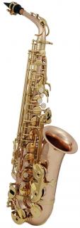 Es Alt saxofon Roy Benson AS-202G (Es Alt saxofon)