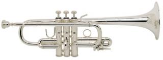 Vincent Bach D trubka D180L (Stradivarius série)