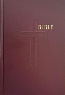 Bible bez DT, vínová