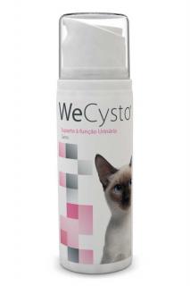WeCysto 100 ml  Globální přístup pro řešení cystitidy koček