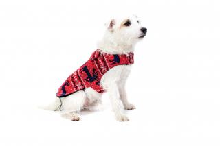 Zimní obleček pro psa se sobíky Velikost: XS - mini