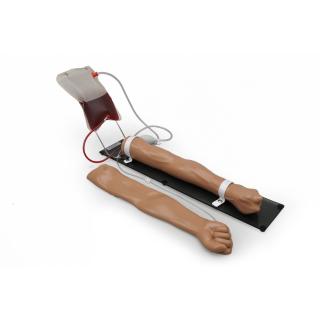 Intravenózní model tréninkové paže