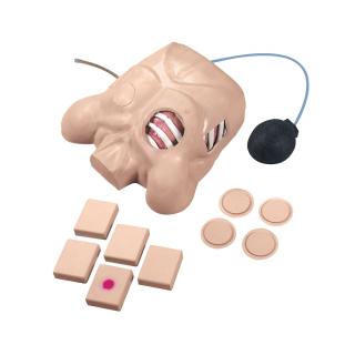Model hrudníku s výřezem