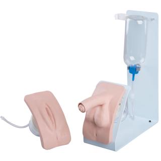 Sada simulátorů ženské a mužské katetrizace
