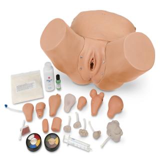 Simulátor gynekologického vyšetření