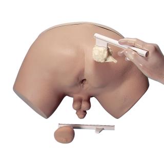 Simulátor vyšetření prostaty