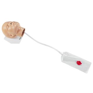 Simulátor zavádění nasogastrické sondy