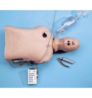 Torzo dospělého pro nácvik krizových stavů s interaktivním EKG simulátorem