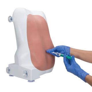 Trenažér pro epidurální a spinální injekce, světlá kůže