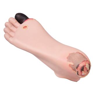 Trenažér pro nácvik péče o diabetickou nohu