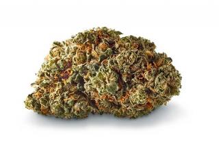 zlatéCBD Odroda konope Strawberry Kiss 22% CBD 1g 0,2% THC