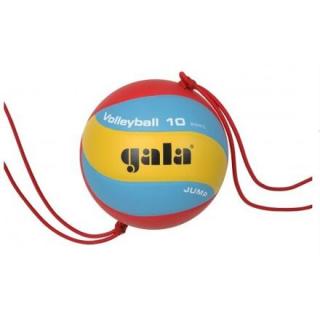 BV5481S Volleyball 10 volejbalový míč