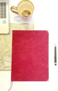 Desky na diplom, samet červený Doplňky - růžky:: zlaté (mosaz) 4ks, Trikolora: bez doplňků