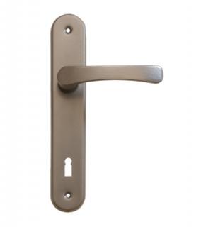Dveřní kování v barvě stříbrné (pro dozický klíč) (Klika se štítkem)