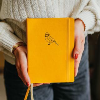 ePiPí Bullet Journal sýkorky
