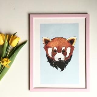 Plakát A3 - Panda červená