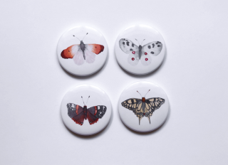 Sada magnetů - Motýli