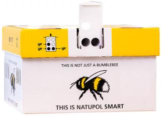 Čmeľ zemný pre opeľovanie Veľkosť: Natupol Smart Hive