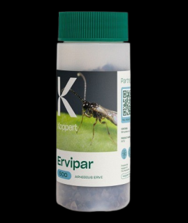 Ervipar - Aphidius ervi Balenie: 250 kusov
