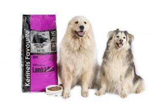 Kennels' Favourite Lamb and Rice | Bezlepkové granule pro psy | Jehněčí s rýží Hmotnost: 1 kg