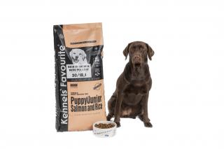 Kennels' Favourite Puppy&junior Salmon  granule pro štěňata středních až velmi velkých plemen s lososem Hmotnost: 3 kg